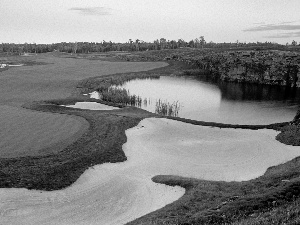 Field, ponds, woods, Course