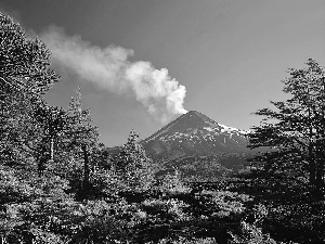 woods, mountains, Fuji