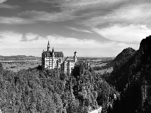 woods, Germany, Neuschwanstein, Mountains, Castle