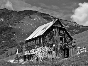 woods, Alps, house, The Slope, medows, Austrian