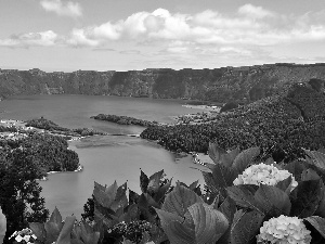 lake, crater, town, volcano, Azores, woods, hydrangeas