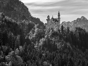 Castle, Germany, woods, Mountains, autumn, Neuschwanstein