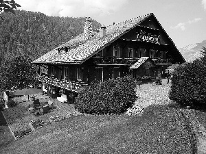 woods, Restaurant, Mountains