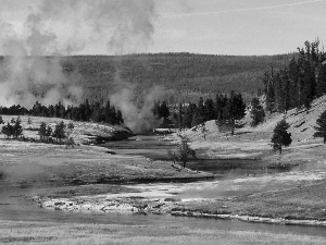 woods, Geysers, River