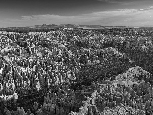 Sky, canyon, woods, clouds