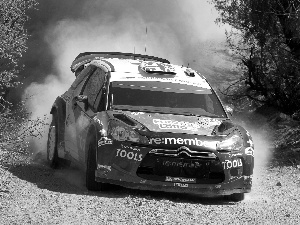 Way, Citroen C4, WRC