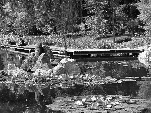 Park Szczytnicki, Japanese Garden, Wroclaw