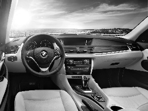 Cockpit, BMW X1
