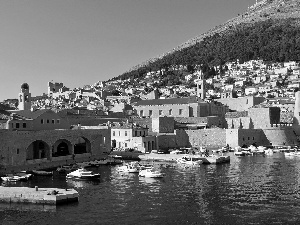 sea, panorama, Yachts, VEGETATION, Marina, Dubrovnik