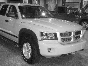 Dodge Dakota, Dealer, Yellow