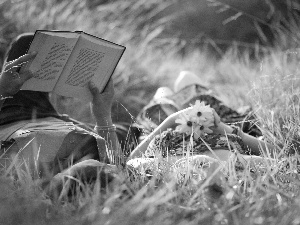 Steam, Meadow, Yellow, Flowers, Book, grass