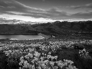 lake, clouds, Yellow, Flowers, Meadow, Mountains