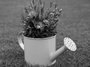 Yellow Honda, Flowers, grass, blurry background, watering can, cloves