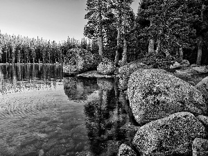 Yosemite National Park, The United States, Lake Tenaya, Stones, forest, State of California