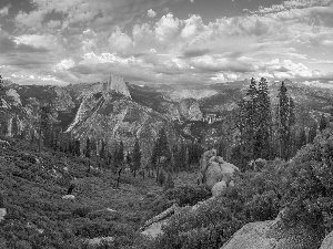 State of California, The United States, Yosemite National Park, trees, Sierra Nevada, clouds, Mountains, rocks, viewes
