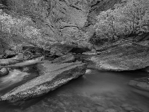 Zion National Park, Virgin River, canyon, rocks, viewes, Utah State, The United States, trees