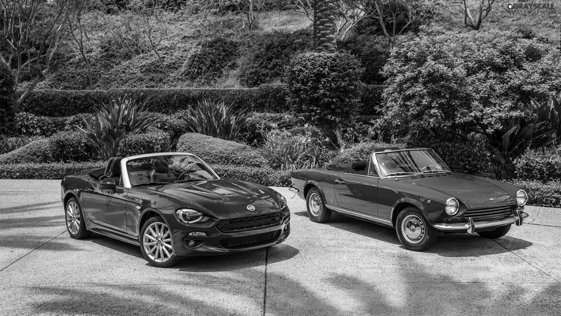 Fiat 124 Spider, Red, cars