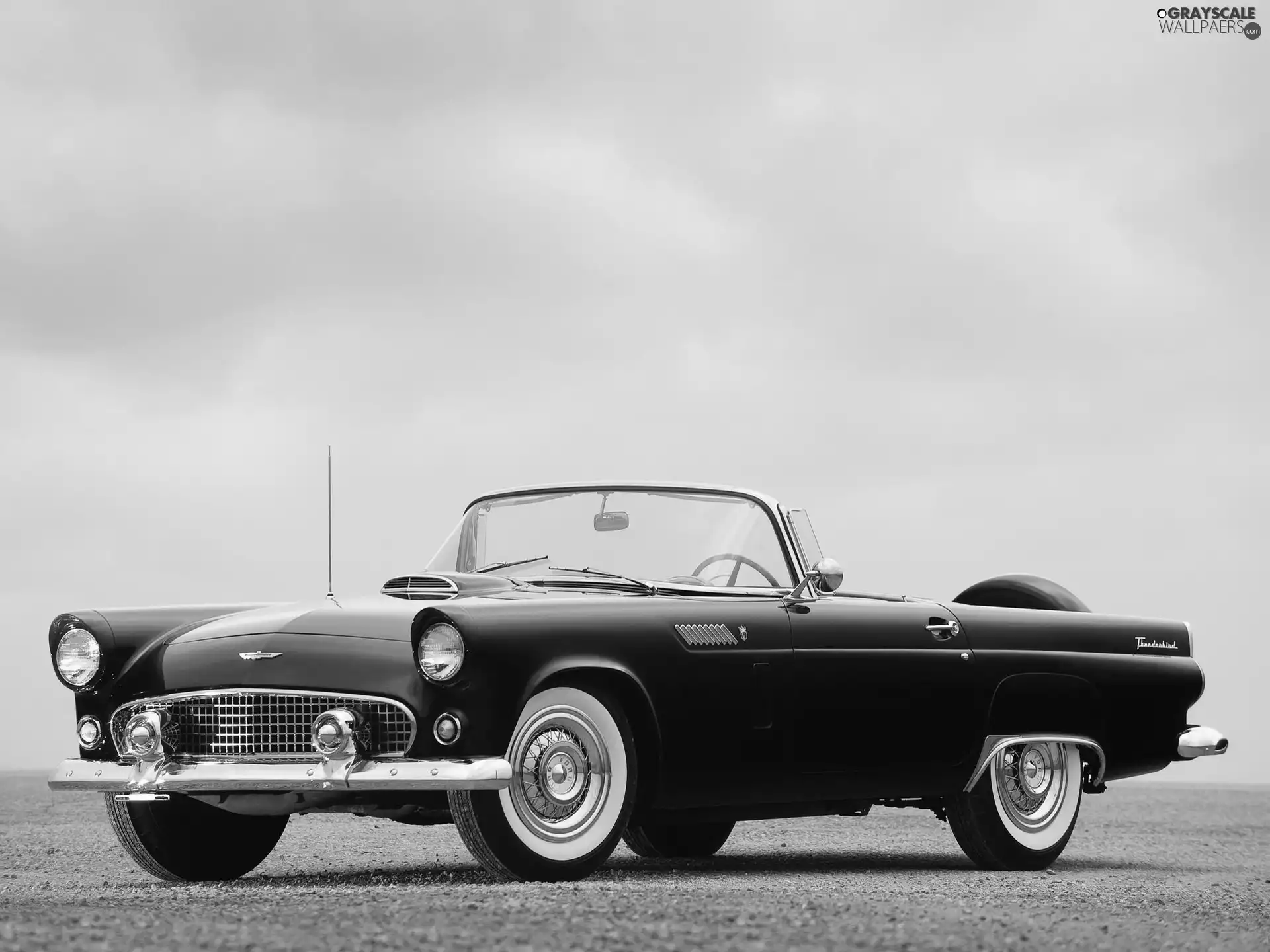 1956, Cabrio, Ford, Thunderbird, antique