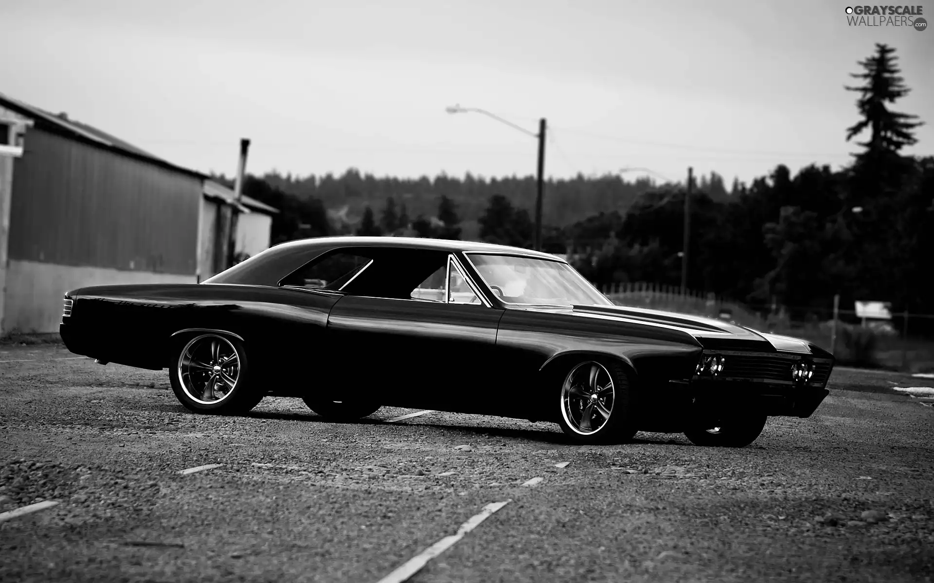 1967, Chevrolet, Chevelle