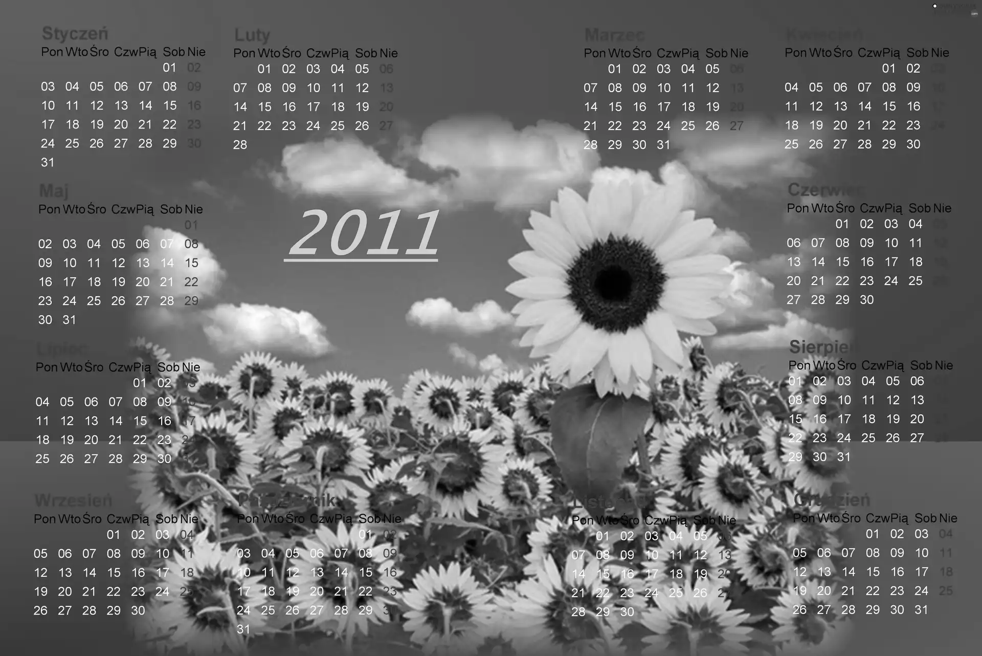 Sunflower, Calendar 2011