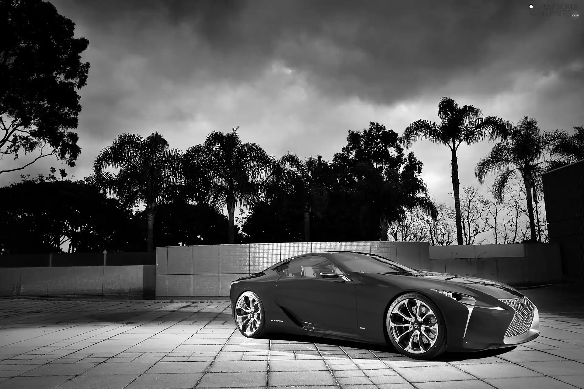 2012, Palms, Lexus, LF-LC, Red