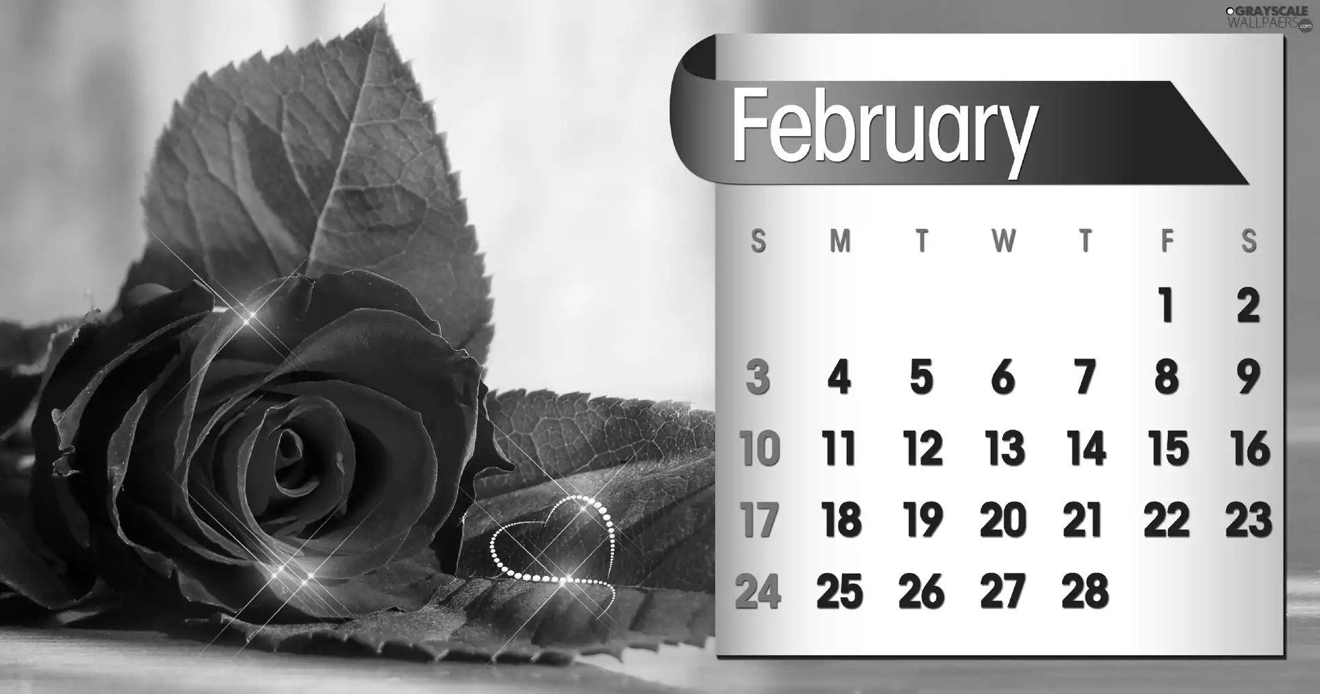 Calendar, february, 2013, rose