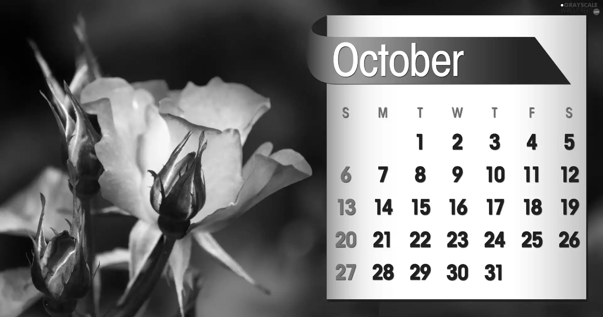 Calendar, october, 2013, roses