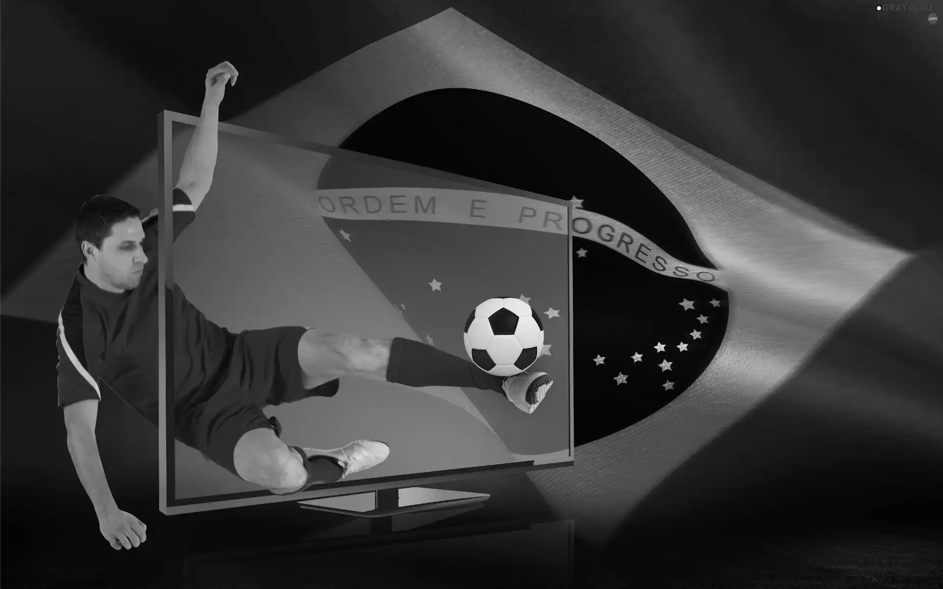 Championship, Brazil, 2014, world