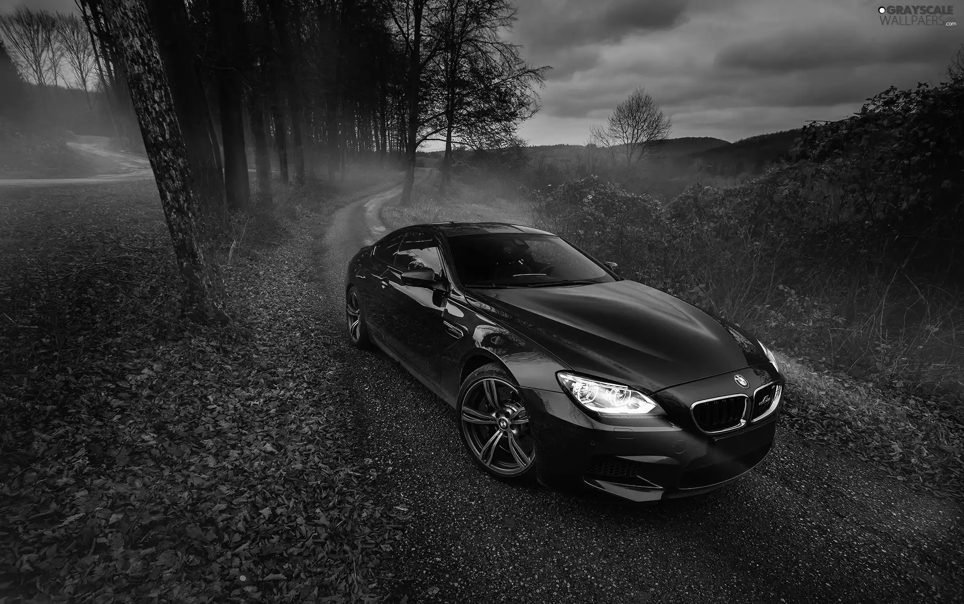 trees, viewes, 2014, Way, BMW M6 Gran Coupe AC Schnitzer