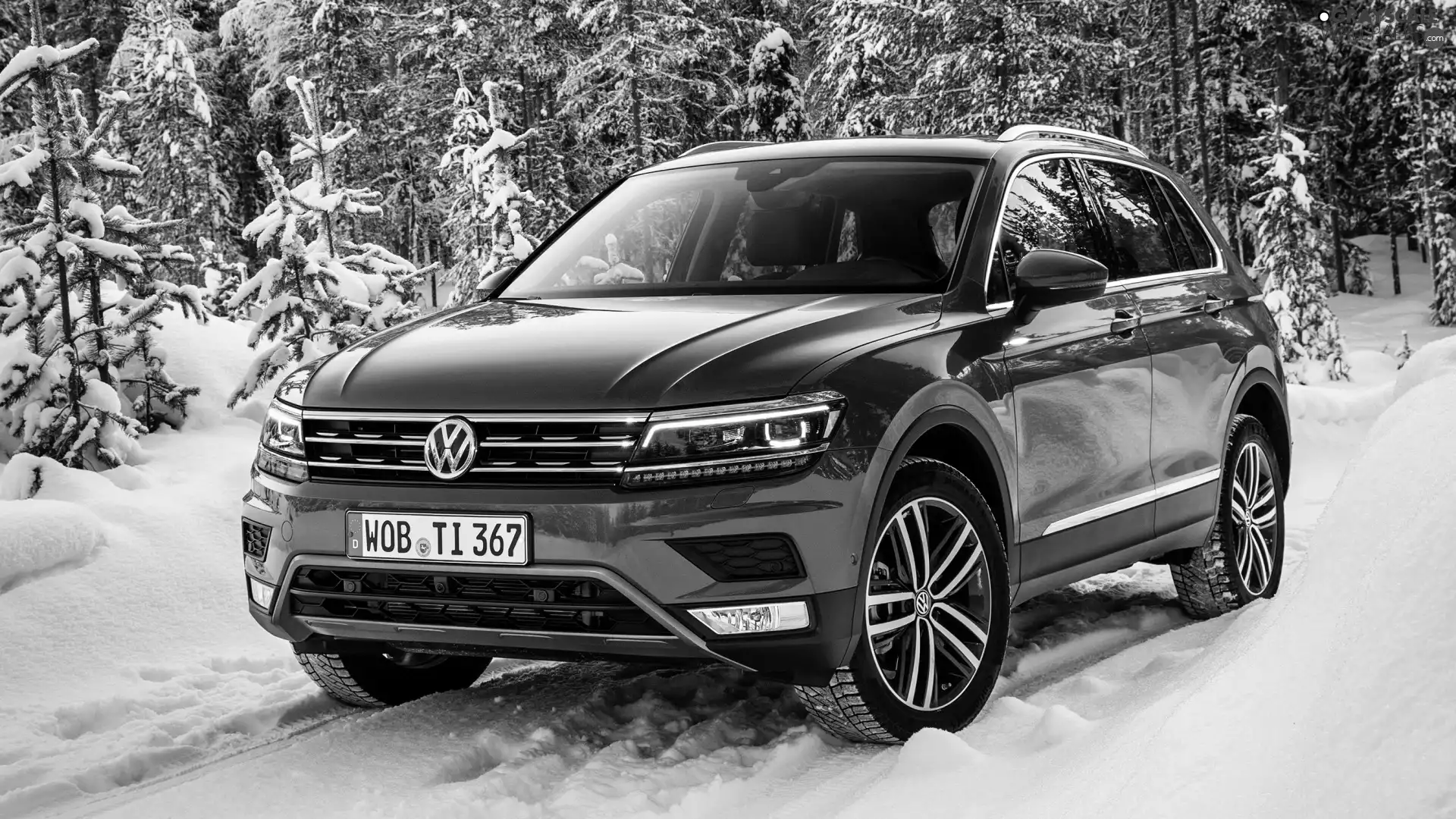 winter, Volkswagen Tiguan, 2017