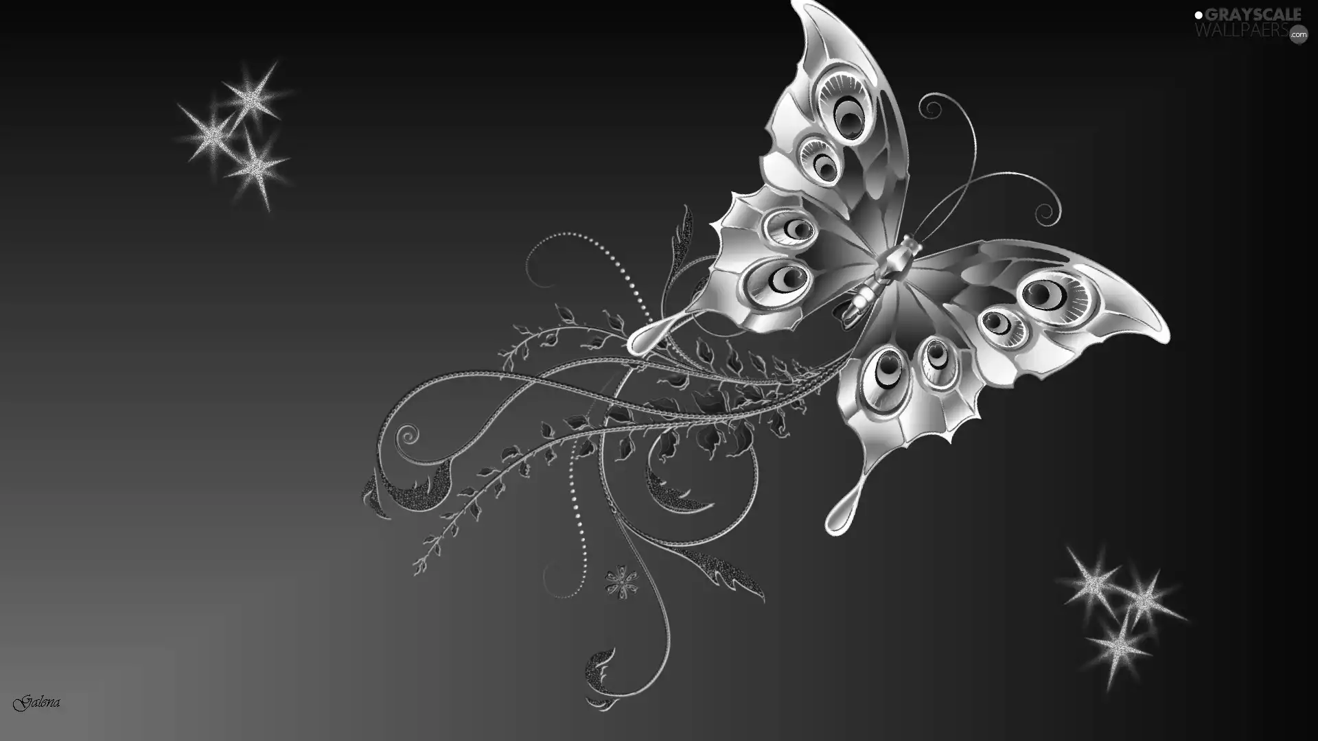 butterfly, star, 2D Graphics, ornament