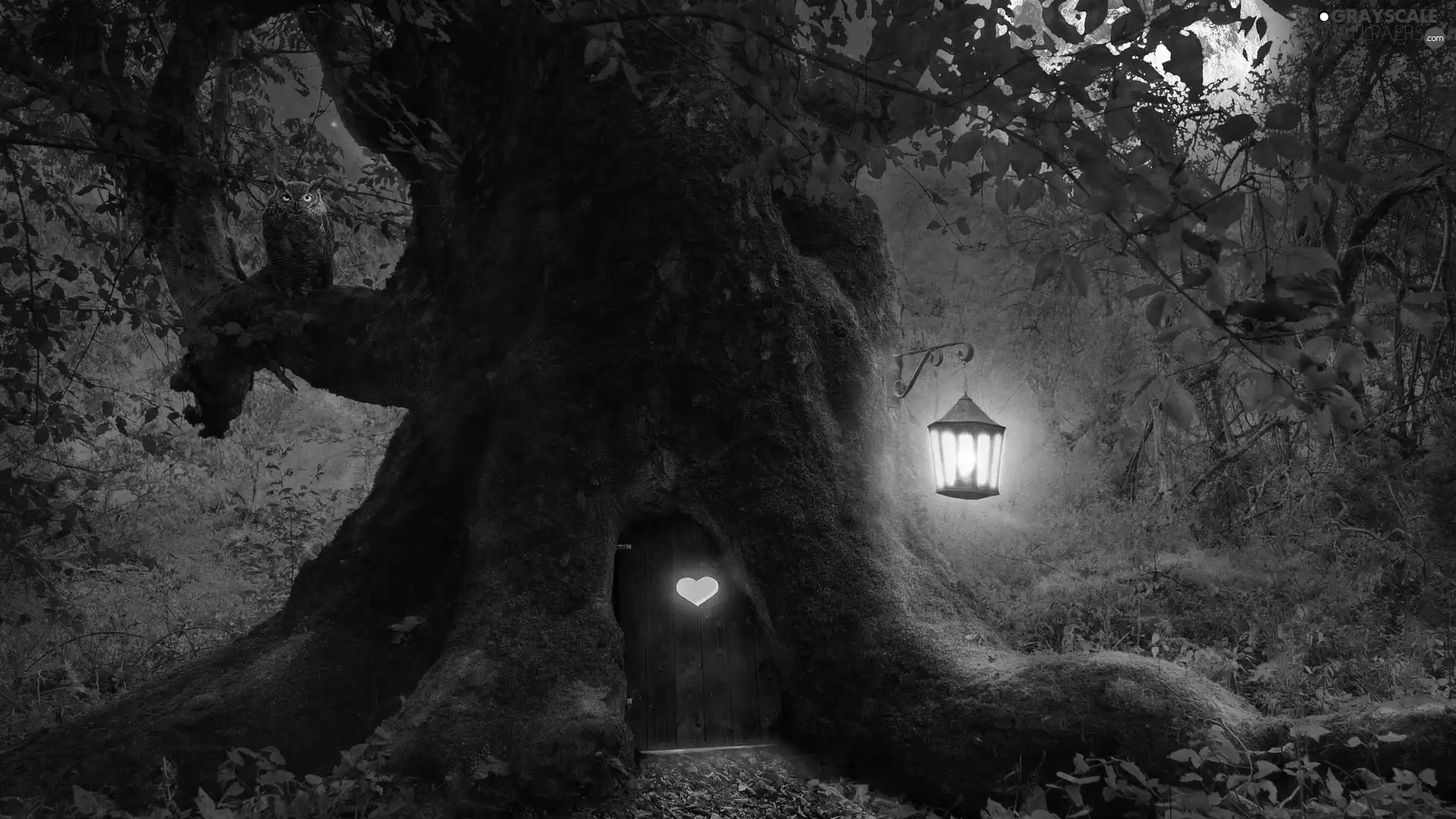 Doors, Night, lantern, 2D, owl, trees
