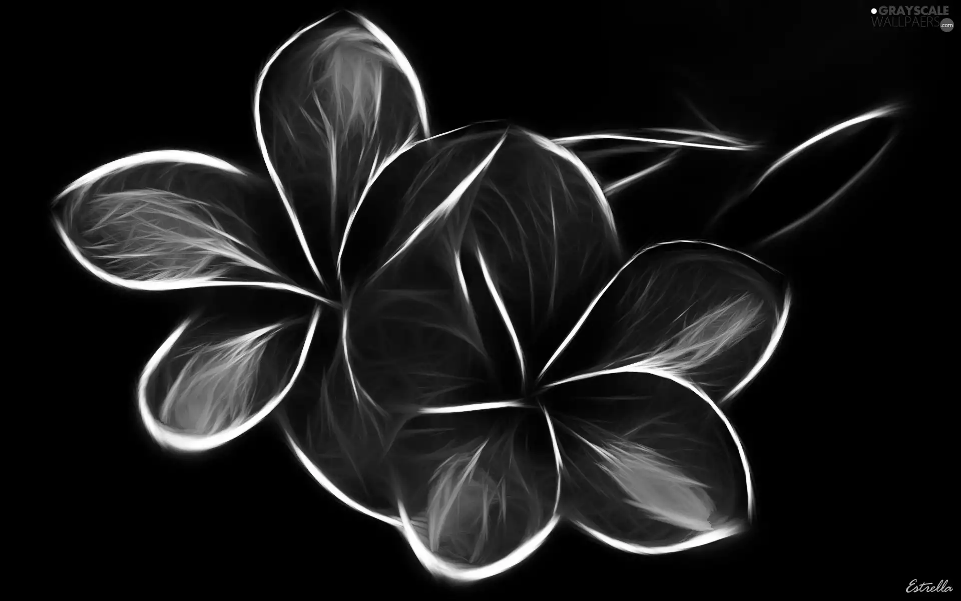 3D, purple, Flowers