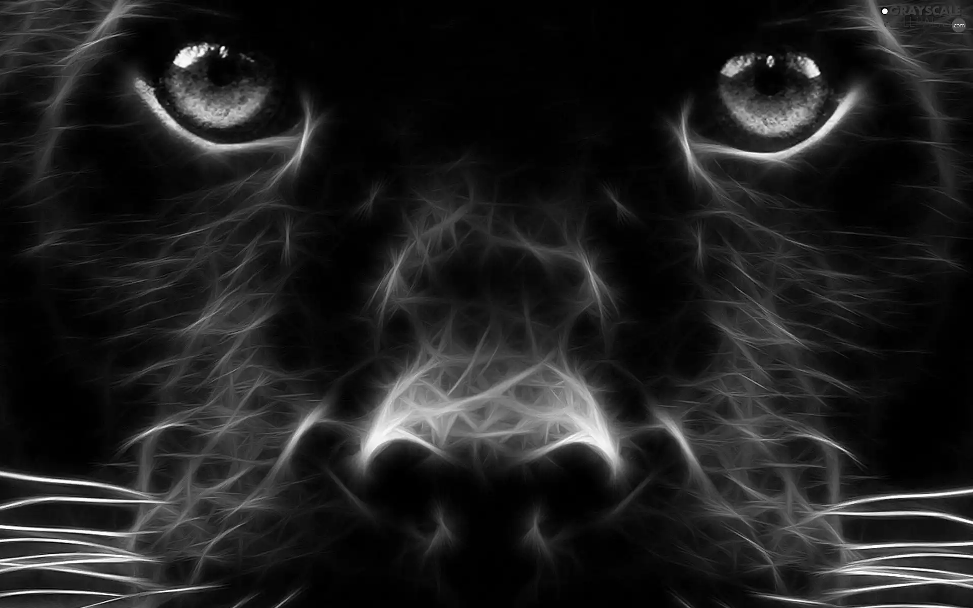 Fractalius, black, Panther