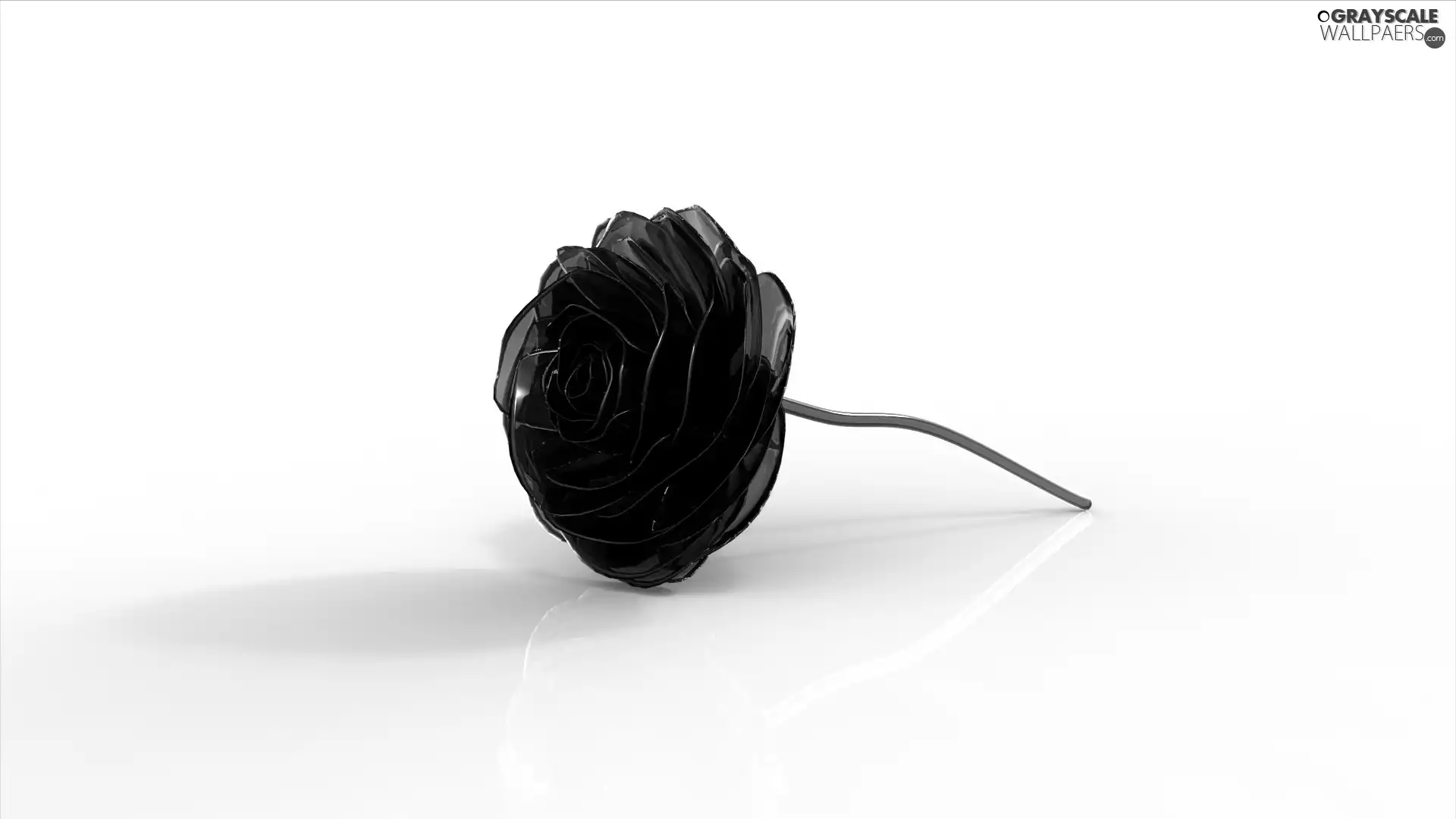 rose, 3D