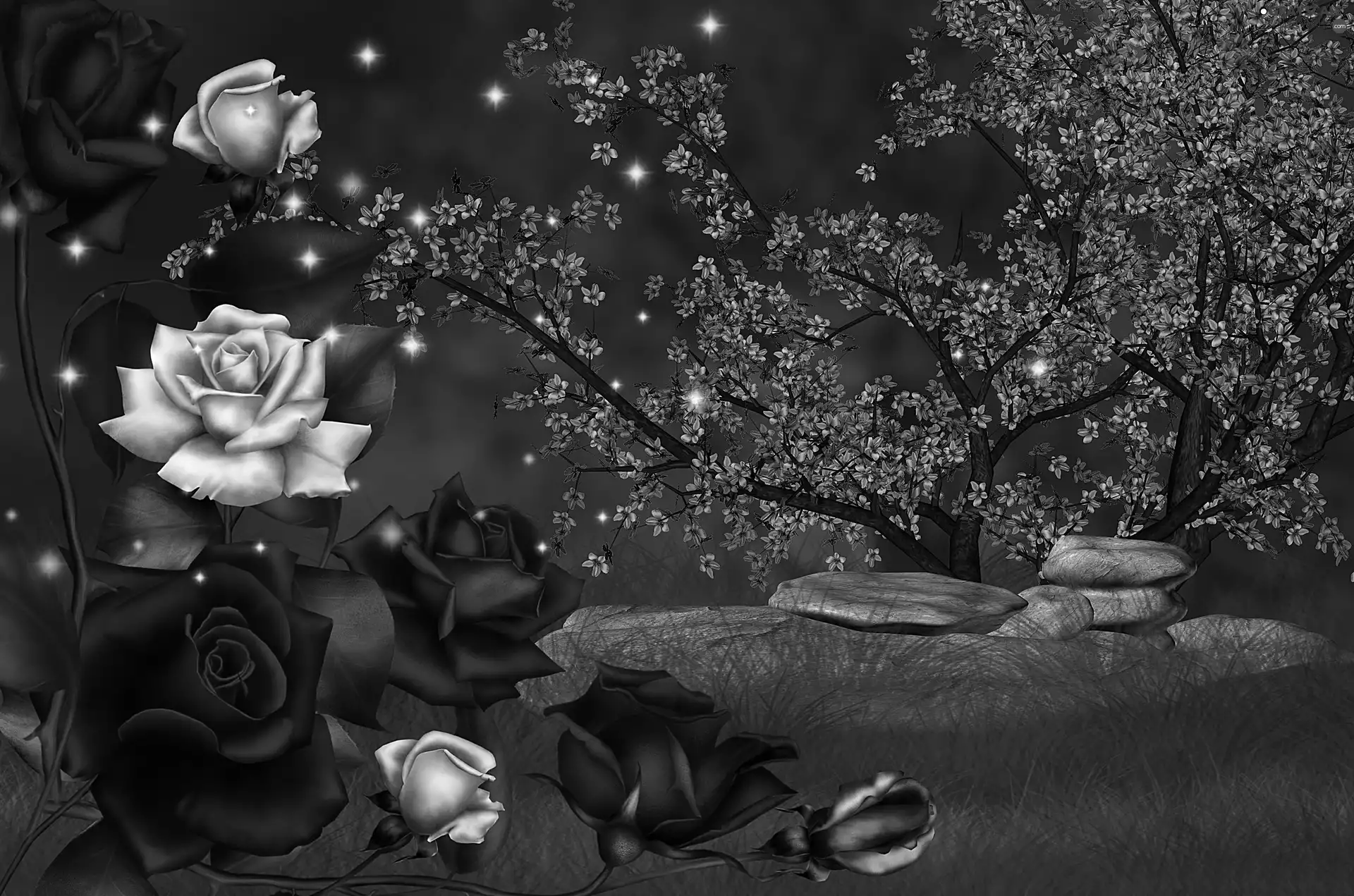 roses, graphics, 3D, Garden