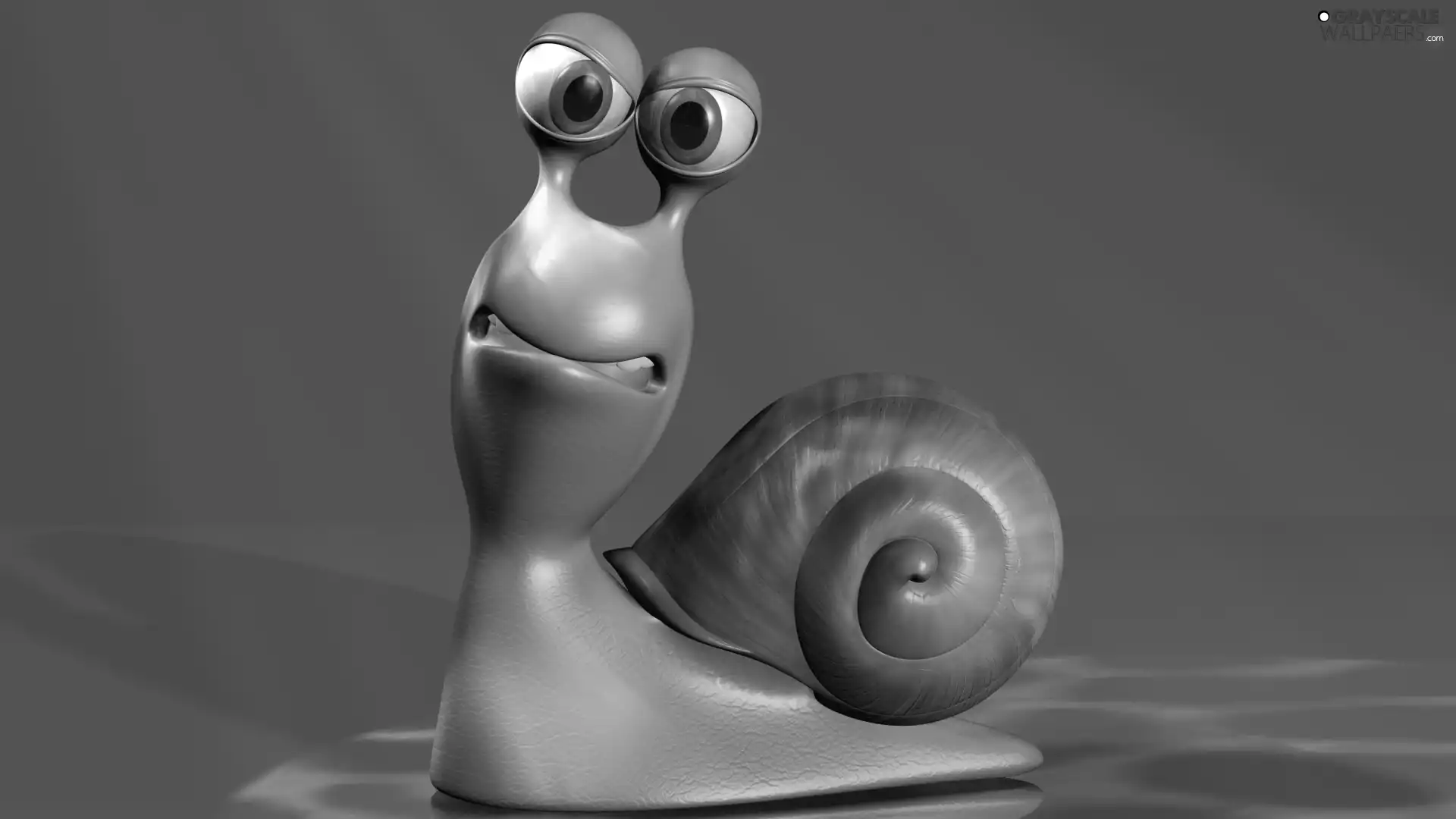 3D Graphics, snail