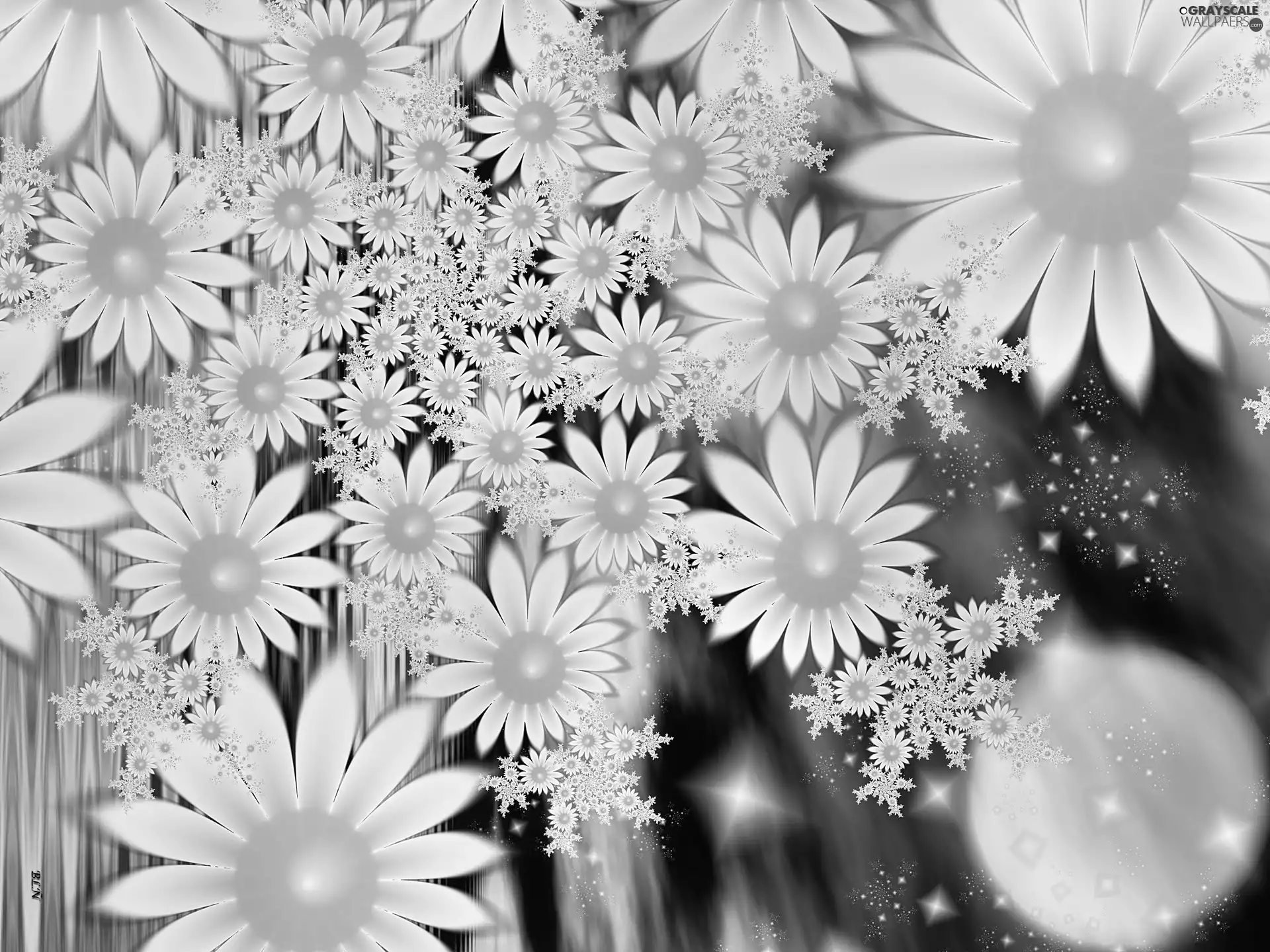 White, graphics, 3D, Flowers
