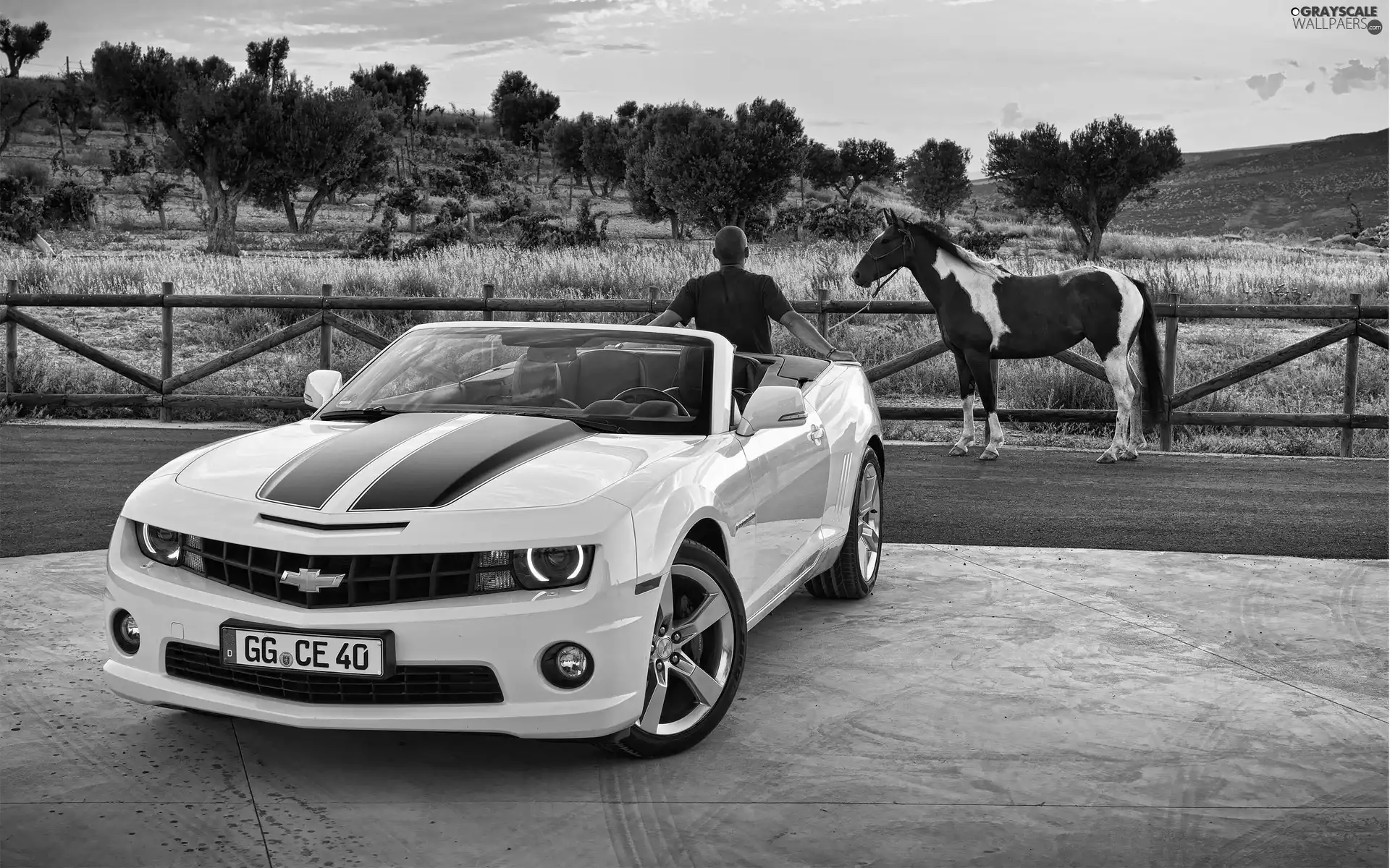 Horse, Chevrolet, a man