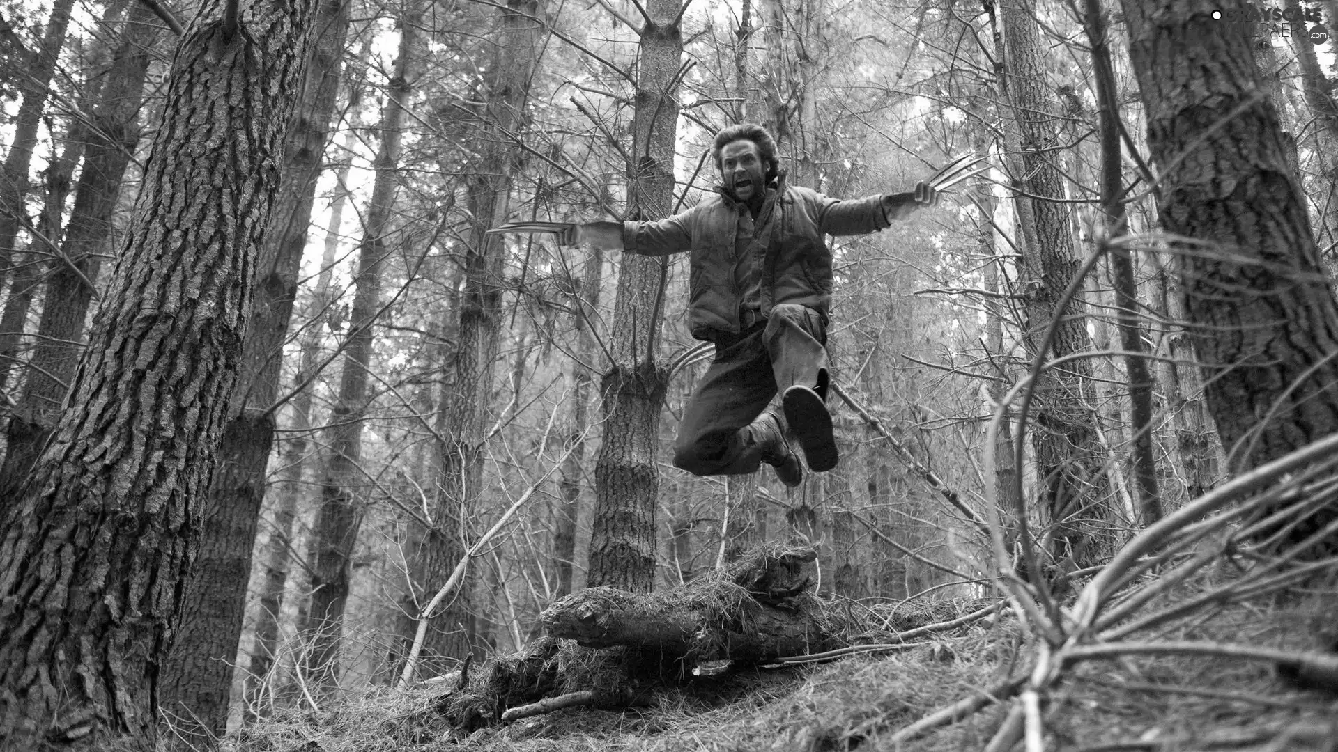jump, forest, a man