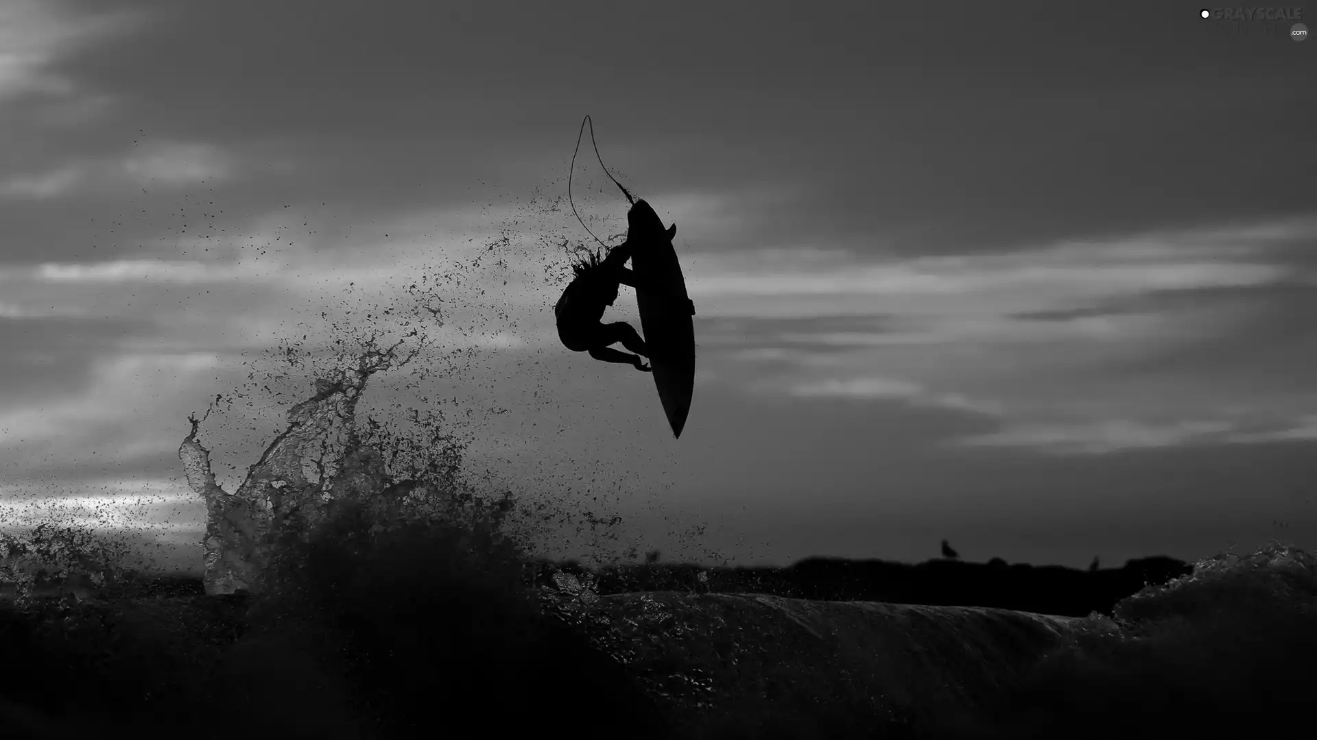 a man, Surfing, sun, sea, west
