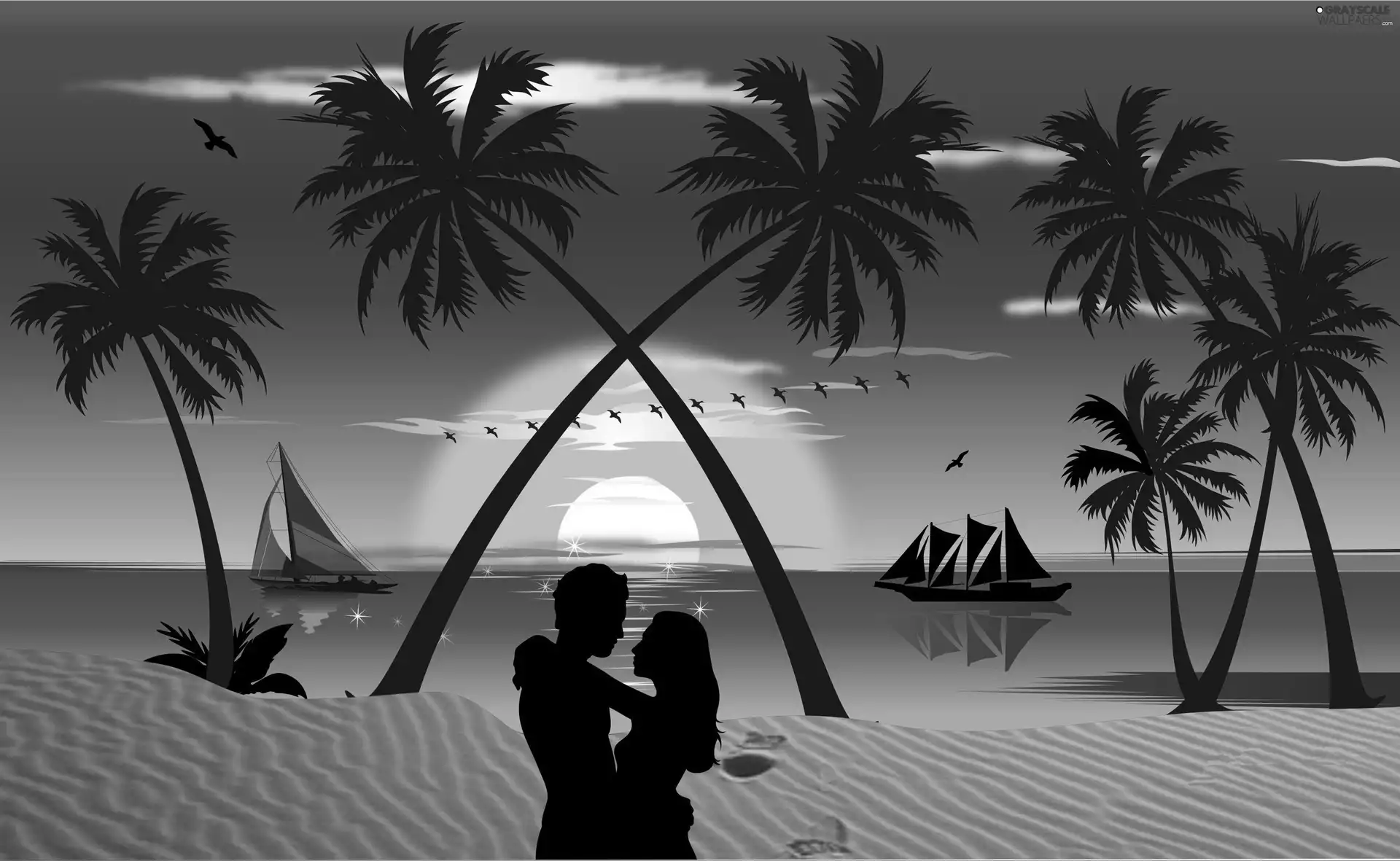 a man, Women, Beaches, Palms, sea