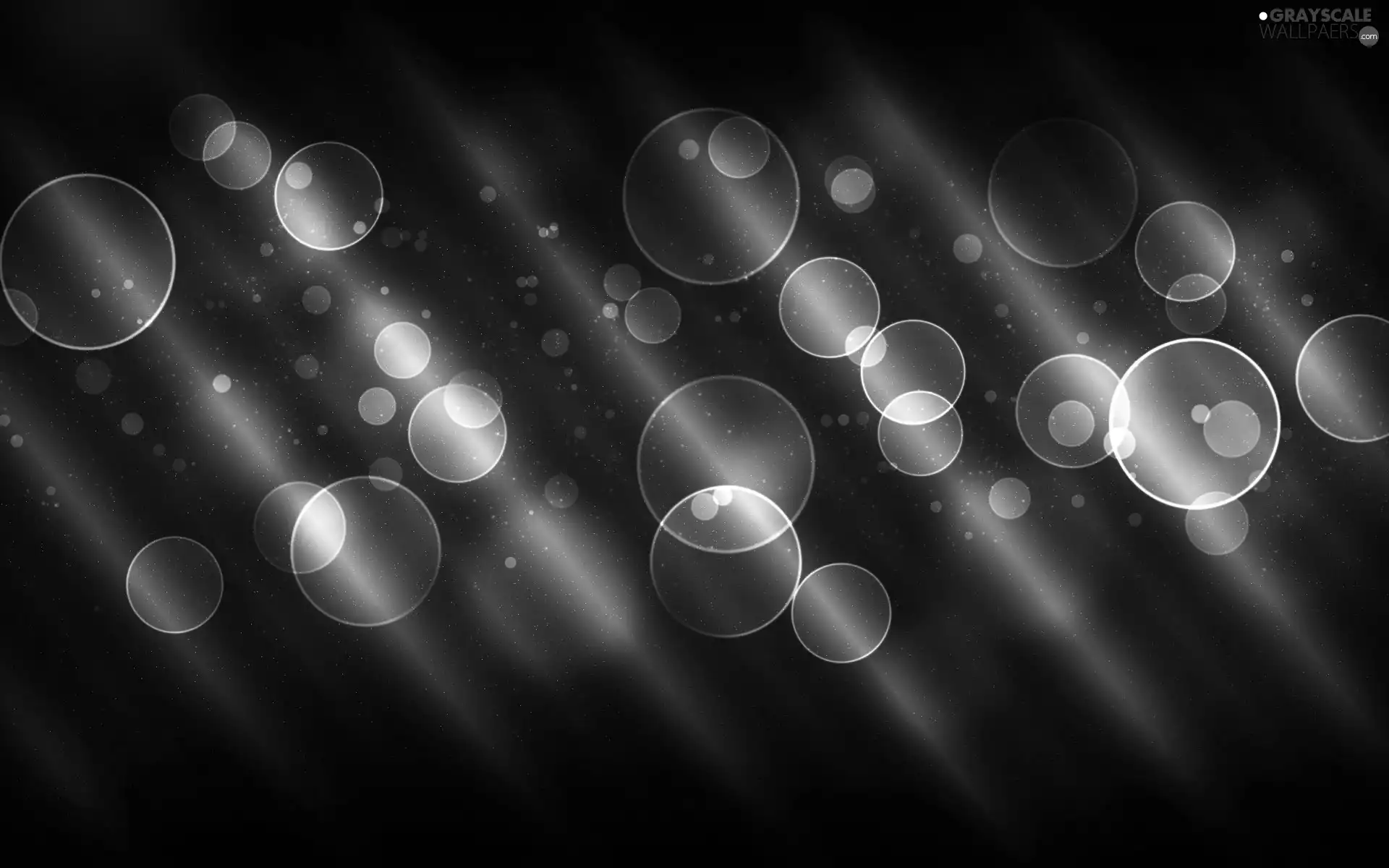 abstraction, scotomas, circles