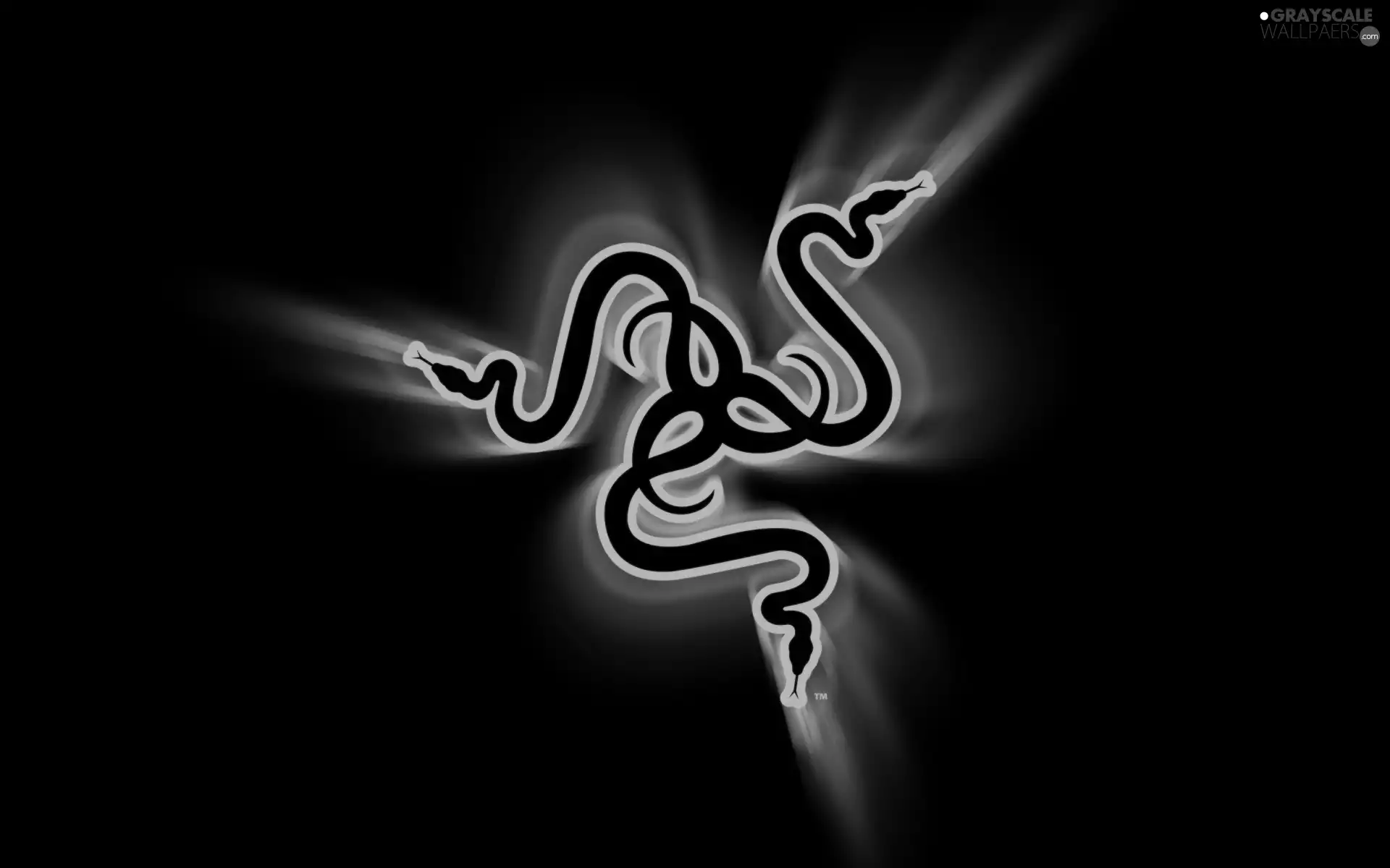abstraction, Three, snakes
