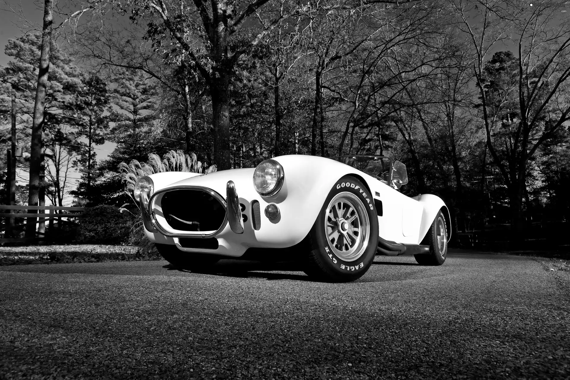 antique, Shelby, 1967, AC Cobra 427