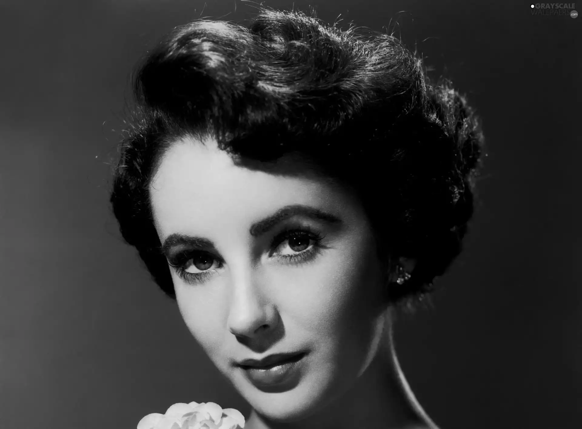 Elizabeth Taylor, Beauty, actress, portrait