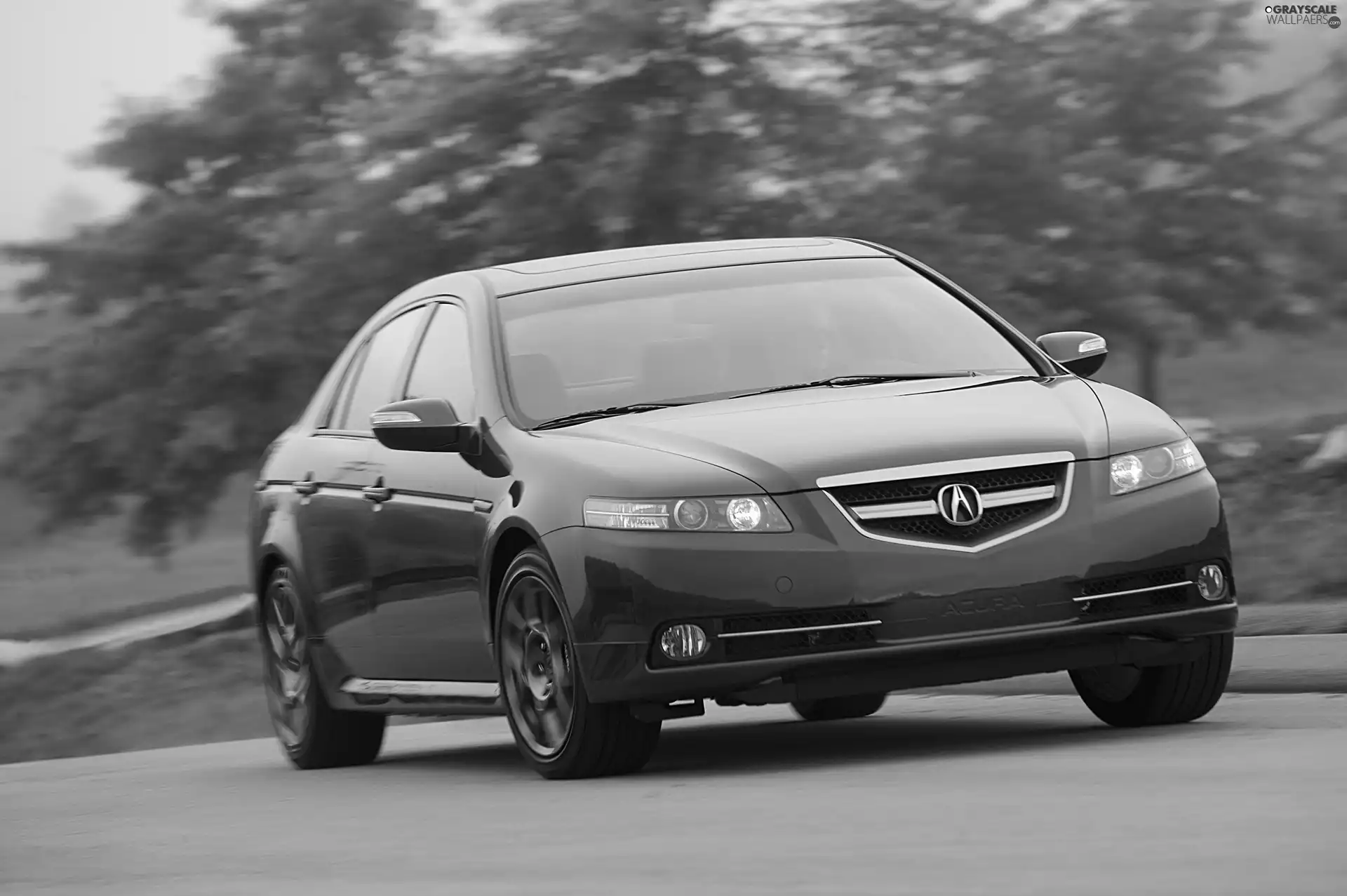 Halogens, Old, Acura TL