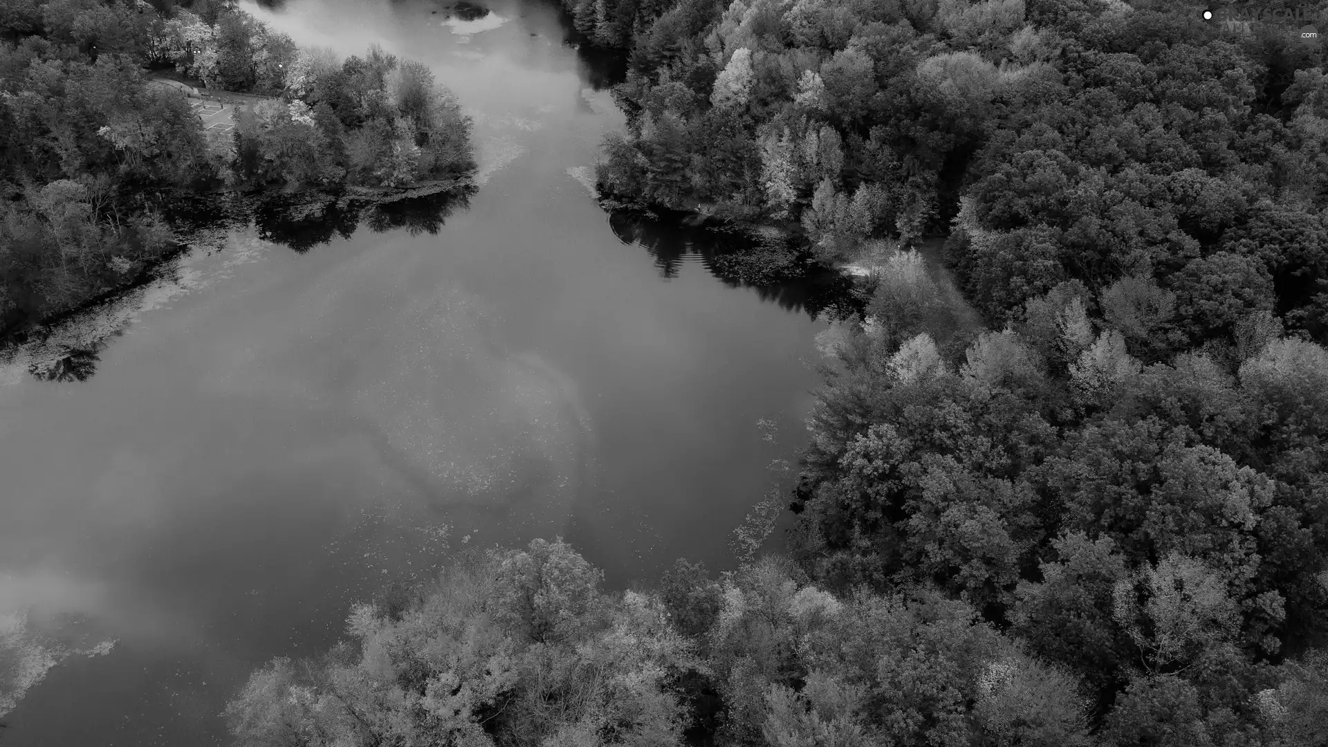 trees, River, autumn, Aerial View, viewes, forest