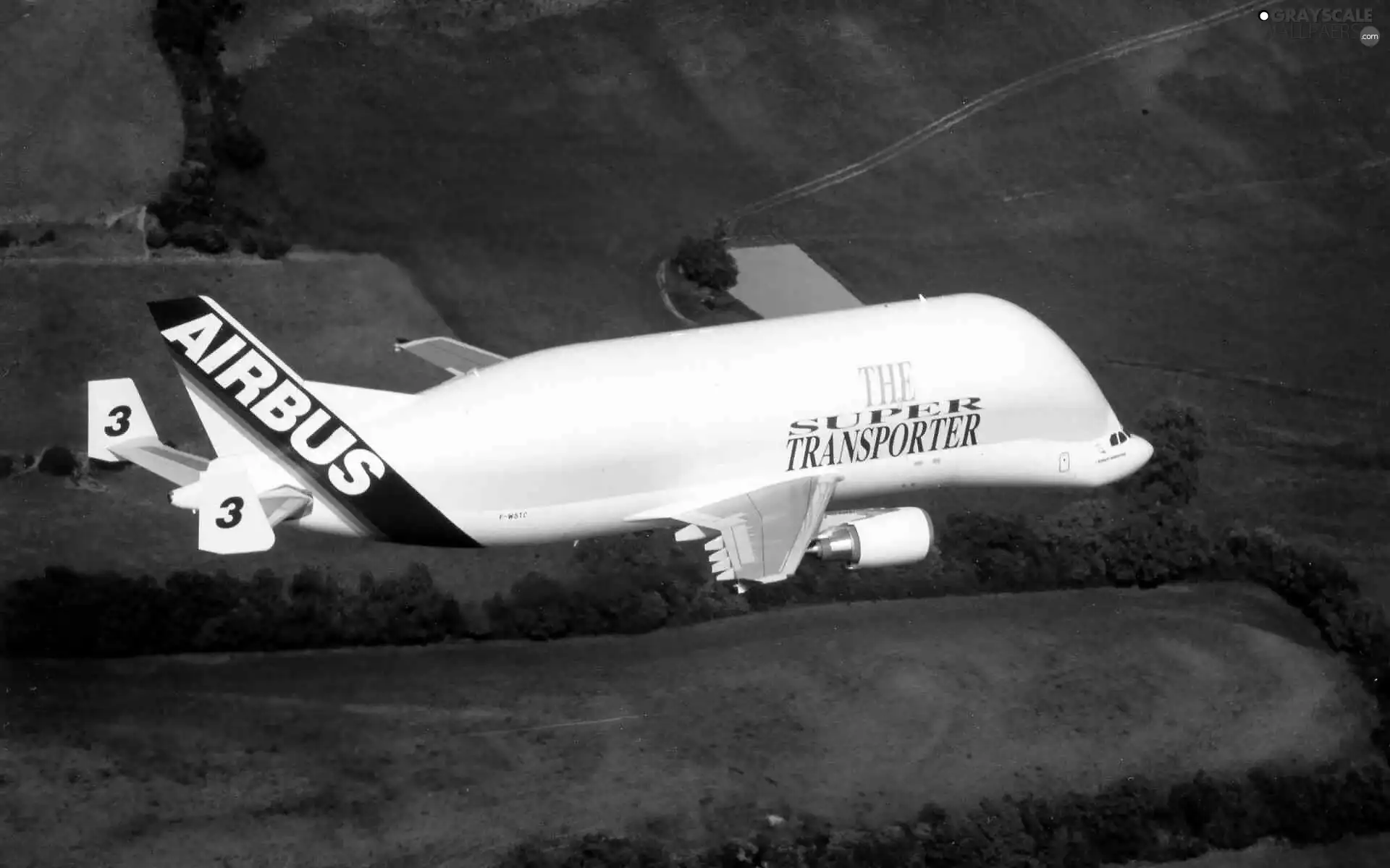 Airbus A300 600ST Beluga