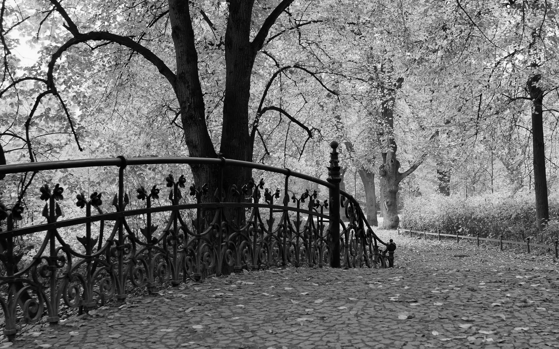 Park, bridges, alley, Autumn